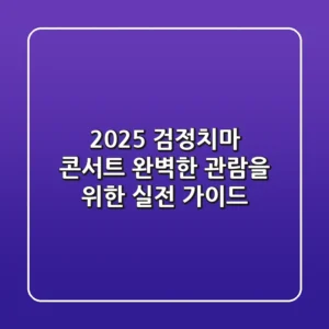 2025 검정치마 콘서트: 완벽한 관람을 위한 실전 가이드