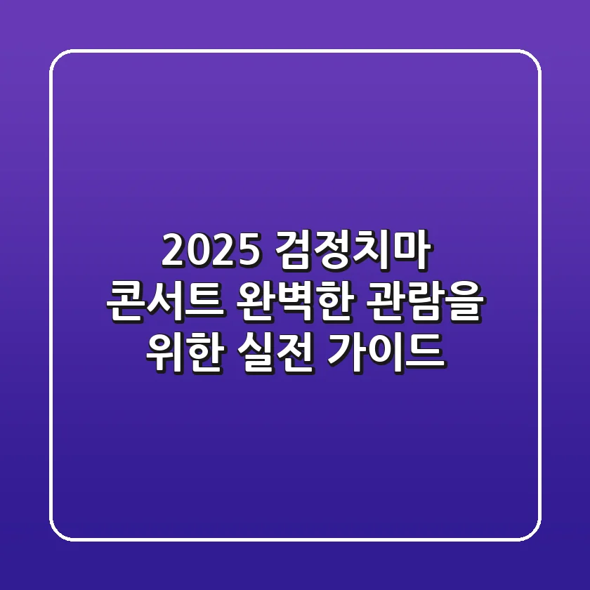 2025 검정치마 콘서트: 완벽한 관람을 위한 실전 가이드