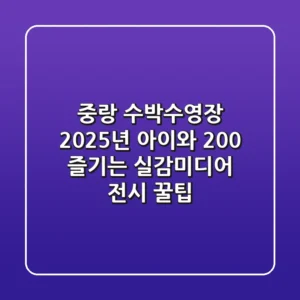 중랑 수박수영장 2025년, 아이와 200% 즐기는 실감미디어 전시 꿀팁