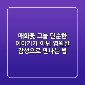 매화꽃 그늘, 단순한 이야기가 아닌 영원한 감성으로 만나는 법