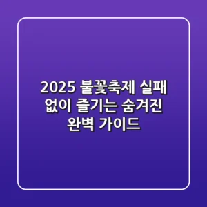 2025 불꽃축제, 실패 없이 즐기는 '숨겨진' 완벽 가이드