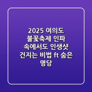2025 여의도 불꽃축제, 인파 속에서도 인생샷 건지는 비법 (ft. 숨은 명당)