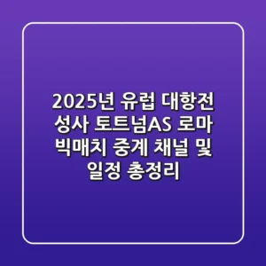 "2025년 유럽 대항전 성사?", 토트넘·AS 로마 빅매치 중계 채널 및 일정 총정리