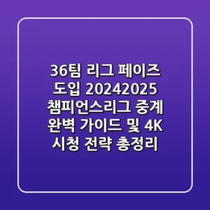 "36팀, 리그 페이즈 도입", 2024-2025 챔피언스리그 중계 완벽 가이드 및 4K 시청 전략 총정리
